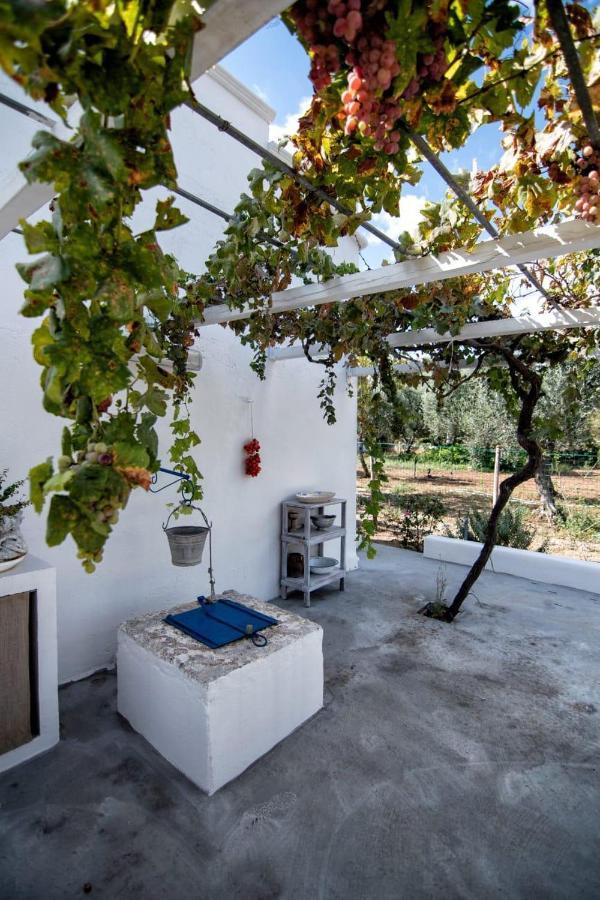 Villa Tommasina Carovigno Exterior foto
